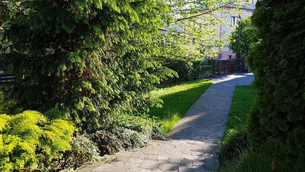 Penzion U Vlku Вальтице Екстер'єр фото